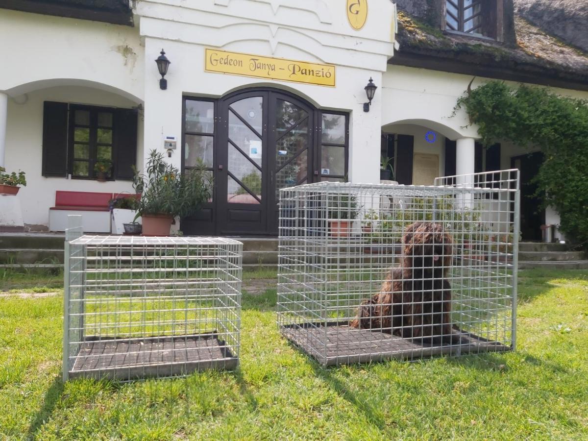 Gedeon Tanya Panzio Guest House Jakabszallas Luaran gambar